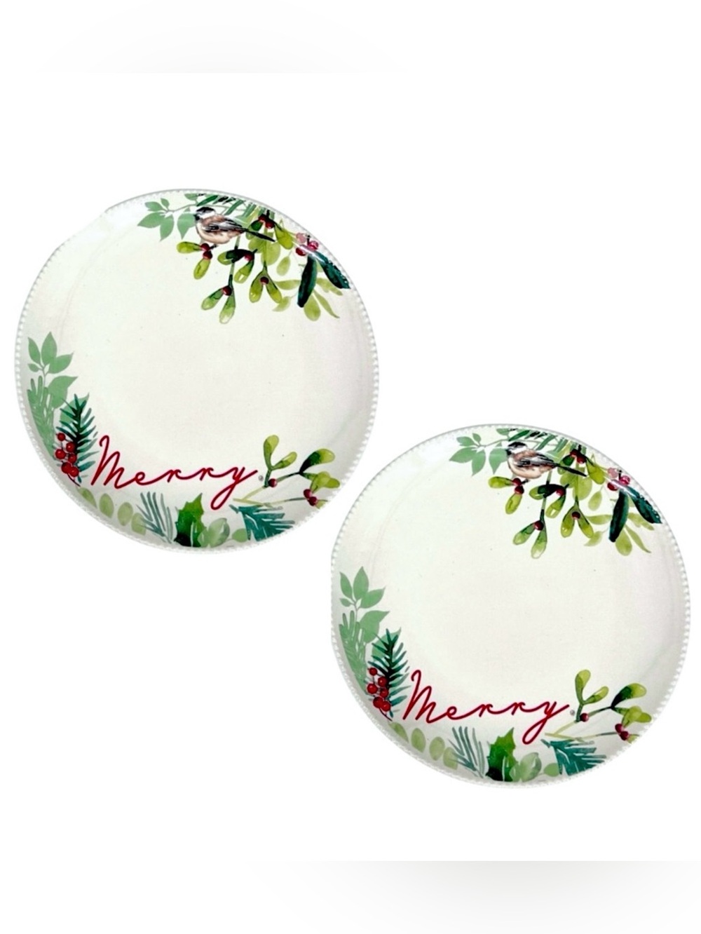 NWT Better Homes and Gardens Winter Botanicals Dessert Salad Plates